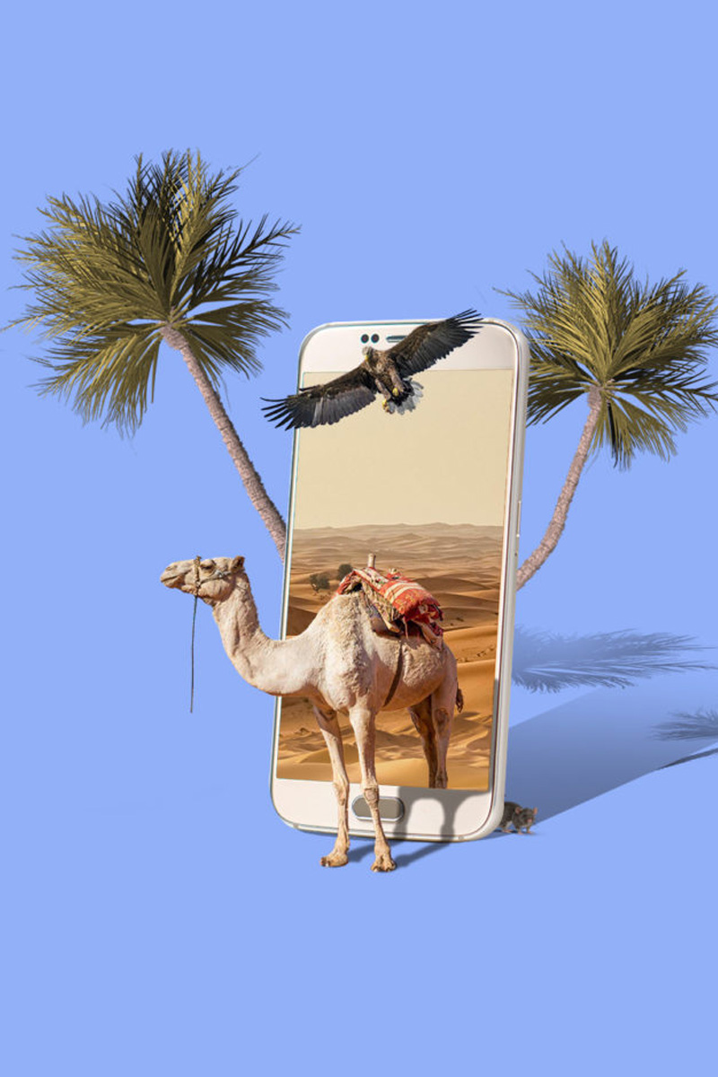Iphone kameel